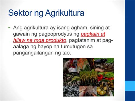 aralin 21 sektor ng agrikultura|Sektor NG Agrikultura .
